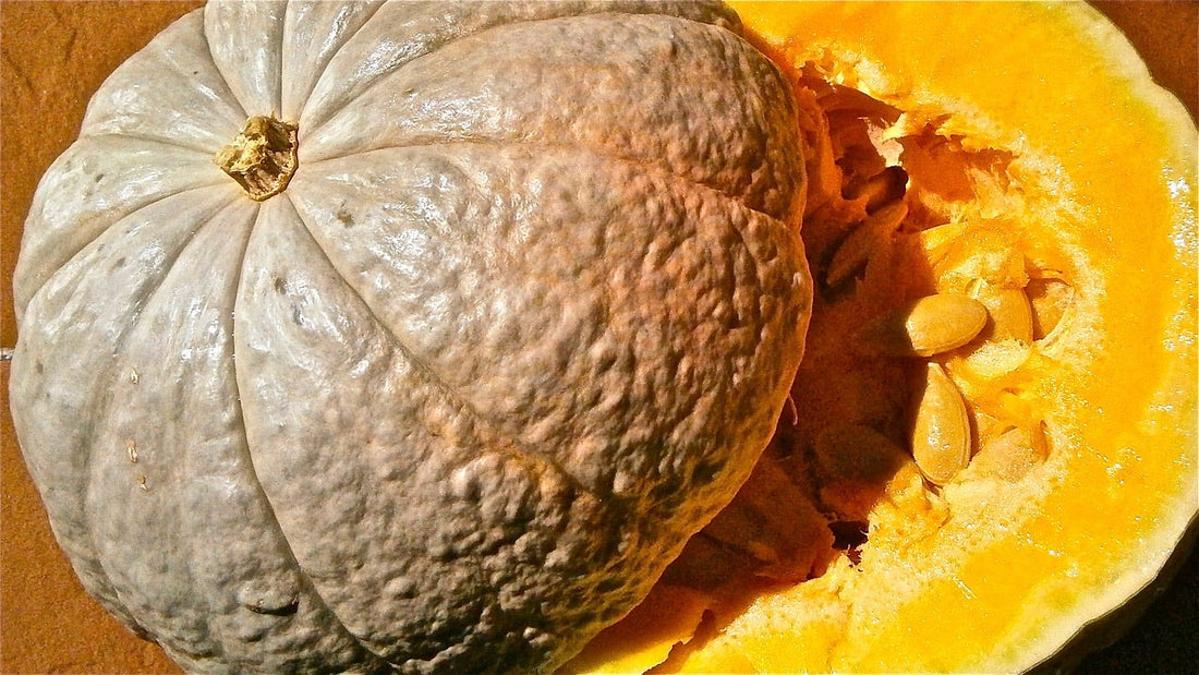 5 Beneficios y propiedades de la semilla de calabaza para el cuidado del cabello